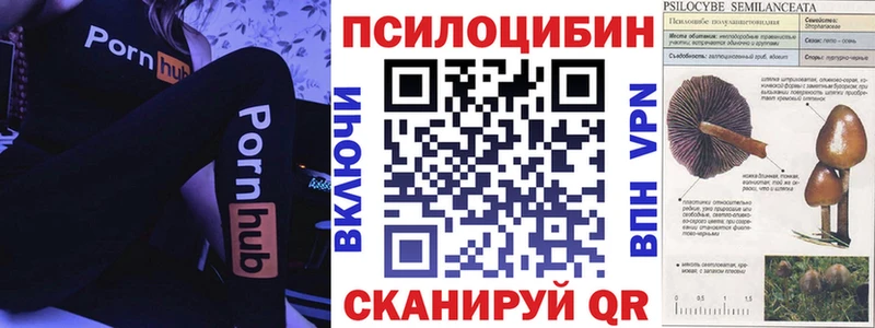 Галлюциногенные грибы мицелий  mega как войти  Севастополь 
