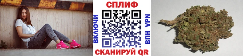 Бошки Шишки Amnesia  Севастополь 